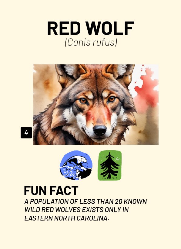 CreatureCards-58.jpg