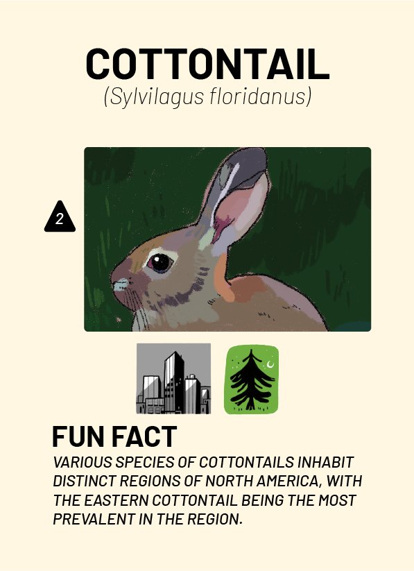 CreatureCards-52.jpg