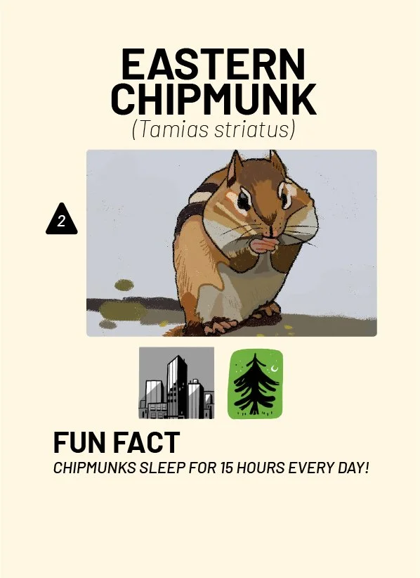 CreatureCards-33.jpg
