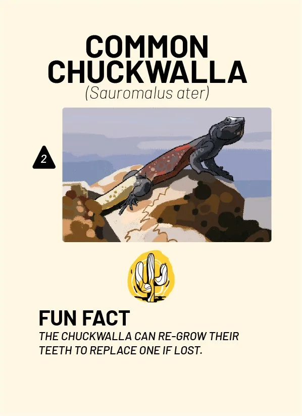 CreatureCards-14.jpg