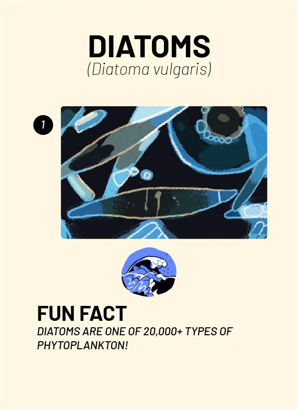 CreatureCards-71.jpg