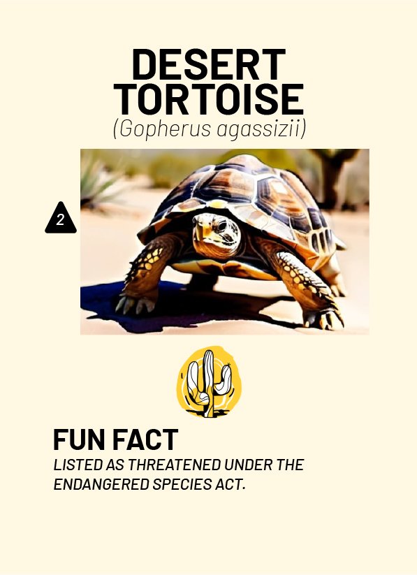 CreatureCards-10.jpg