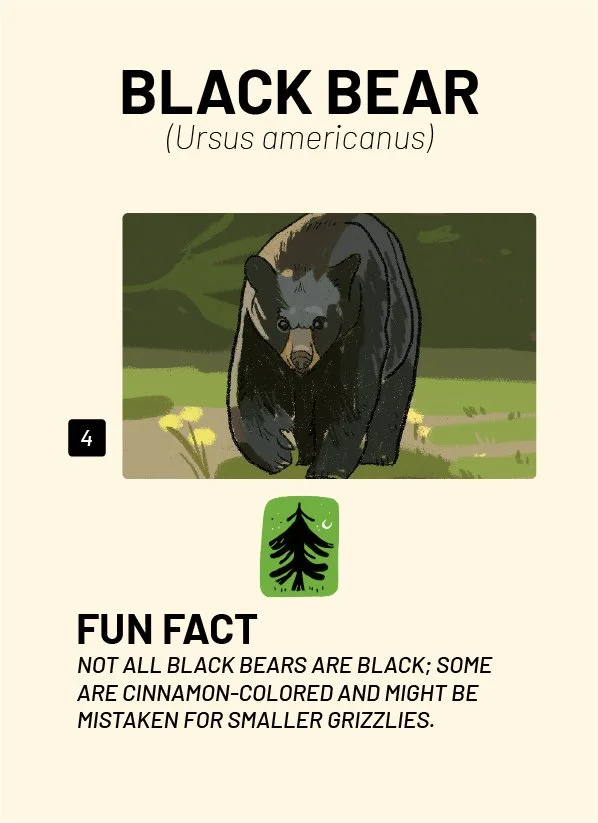 CreatureCards-42.jpg