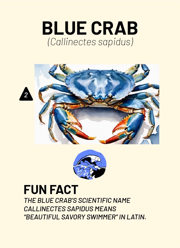 CreatureCards-67.jpg