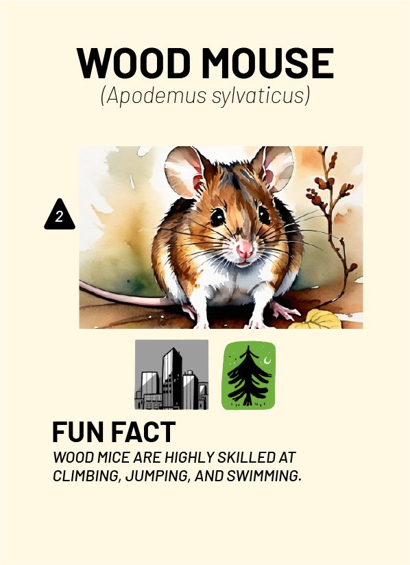 CreatureCards-51.jpg