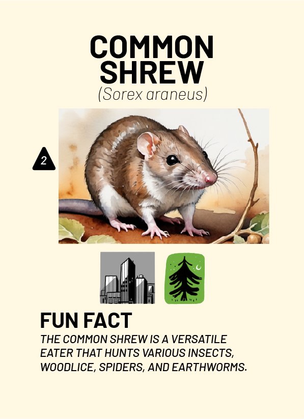 CreatureCards-49.jpg