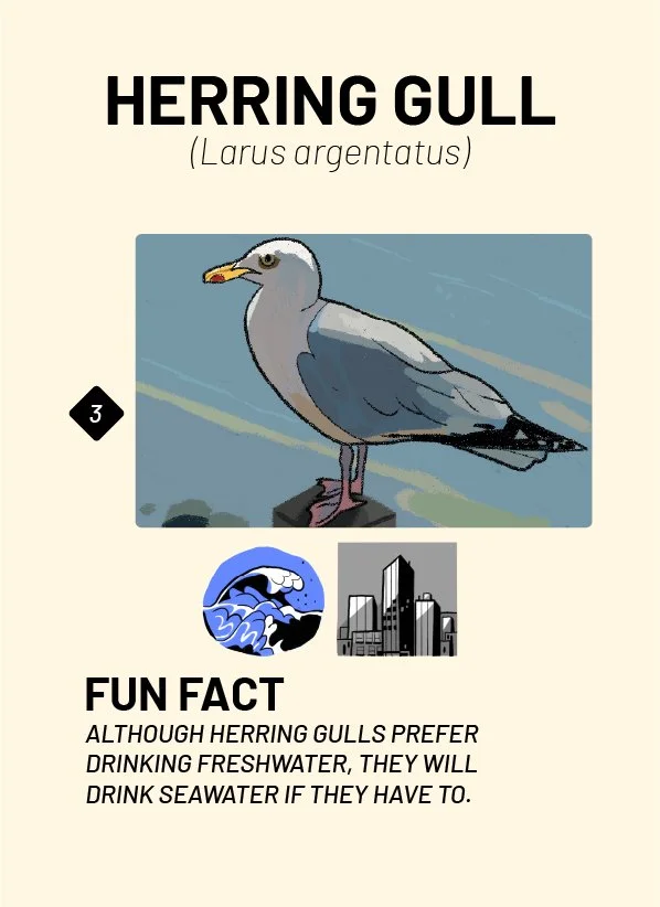 CreatureCards-60.jpg