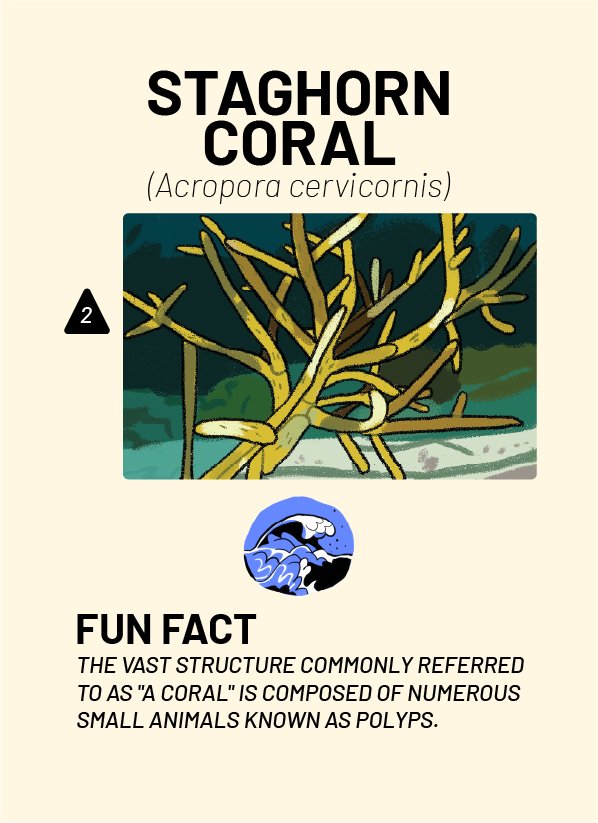 CreatureCards-69.jpg