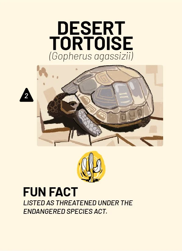 CreatureCards-10.jpg