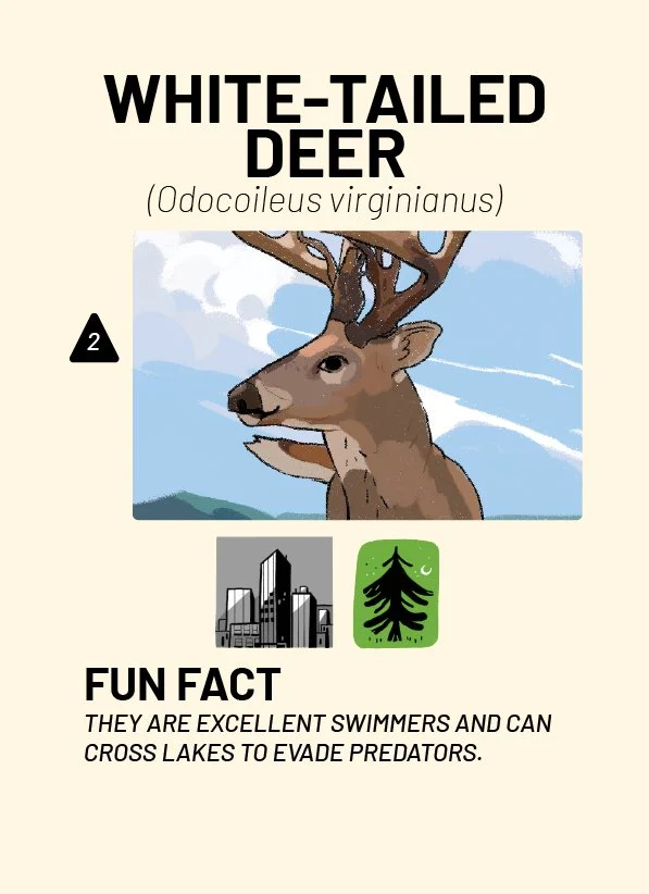 CreatureCards-31.jpg