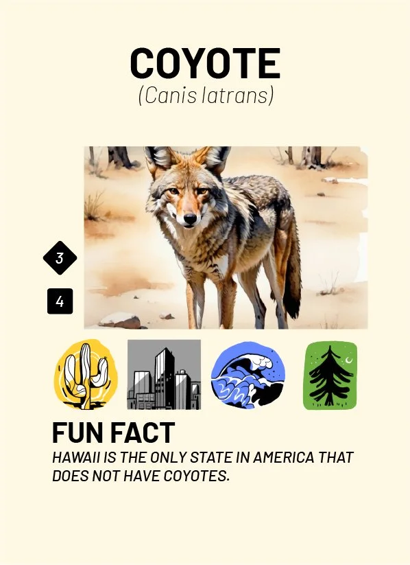 CreatureCards-18.jpg