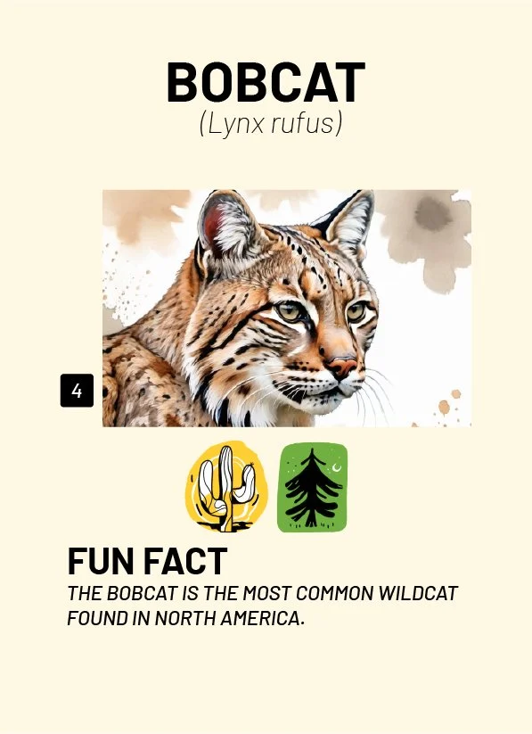 CreatureCards-43.jpg