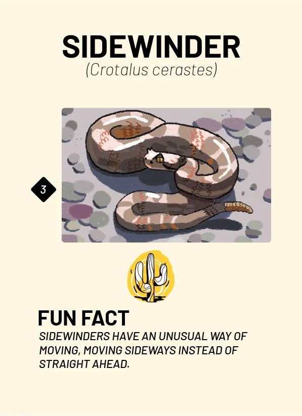 CreatureCards-16.jpg