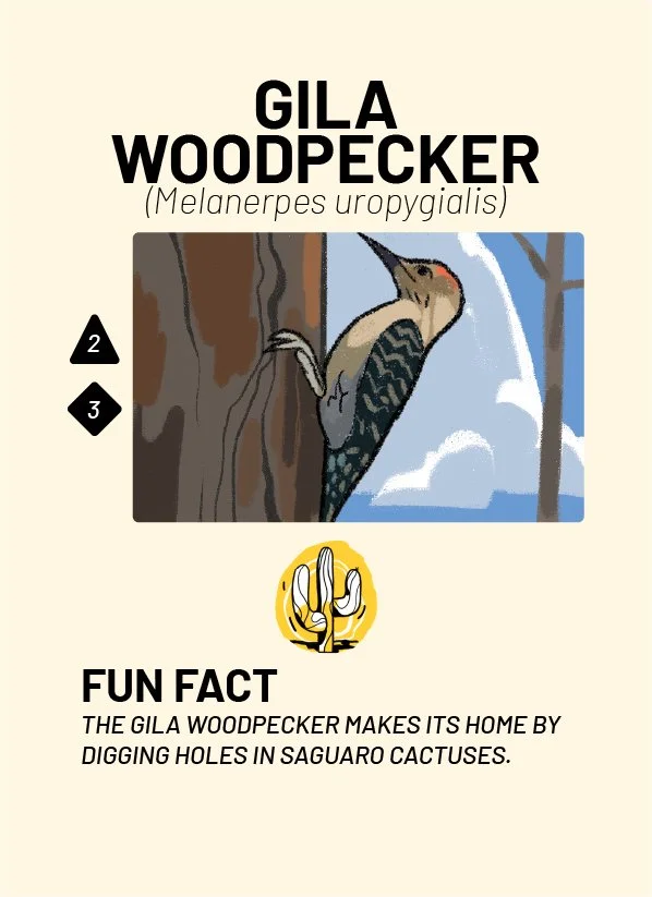 CreatureCards-26.jpg