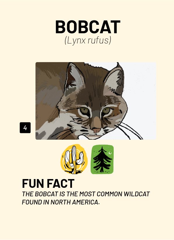 CreatureCards-43.jpg