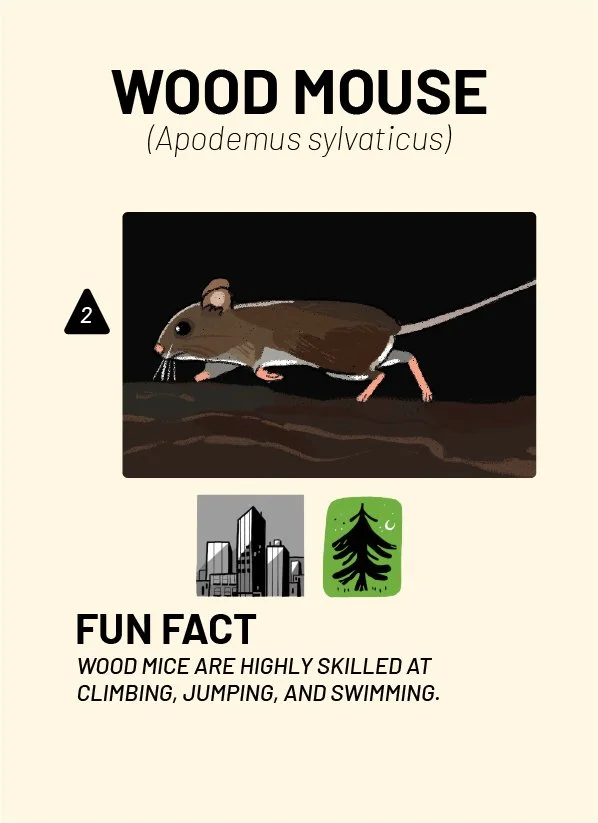 CreatureCards-51.jpg