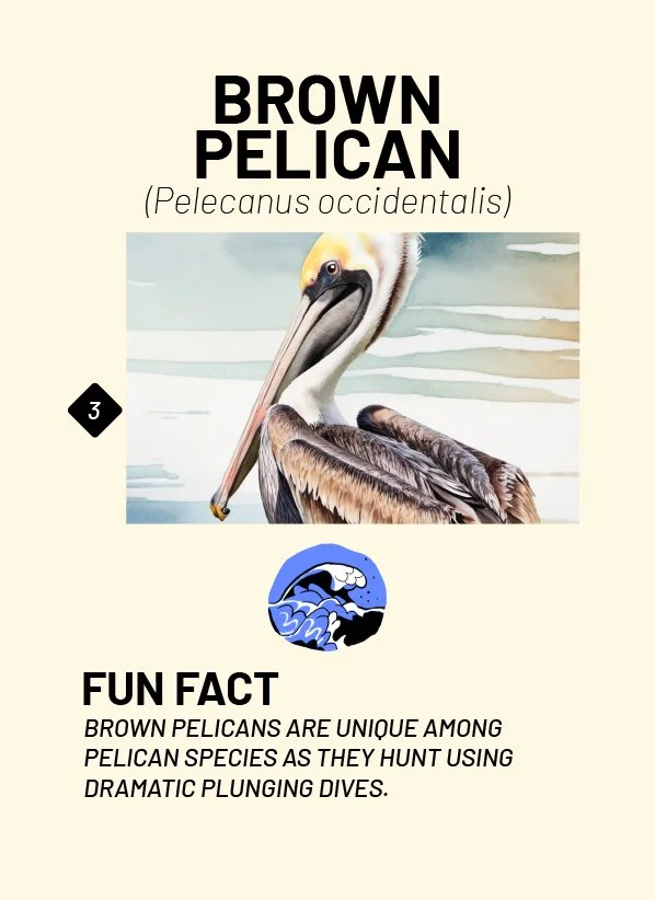 CreatureCards-62.jpg