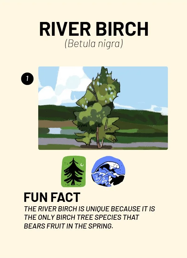 CreatureCards-46.jpg