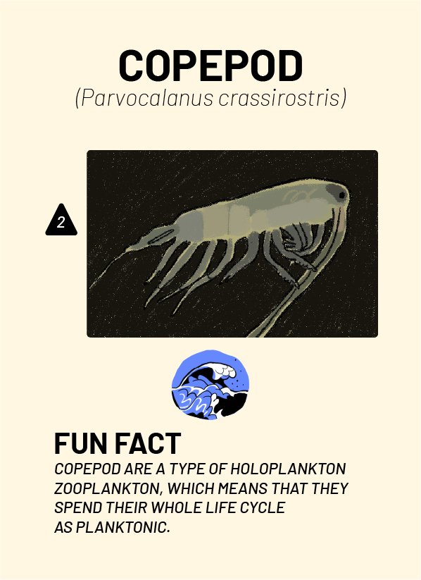 CreatureCards-68.jpg