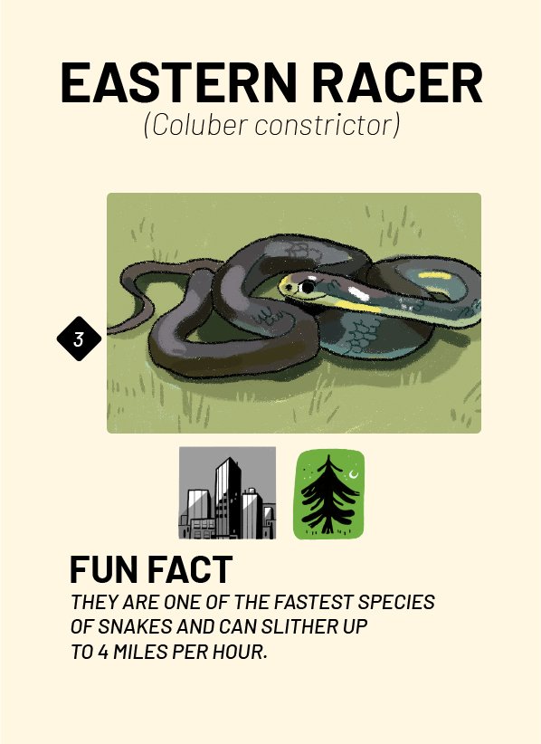 CreatureCards-30.jpg