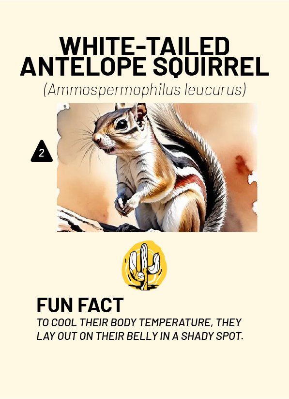 CreatureCards-25.jpg
