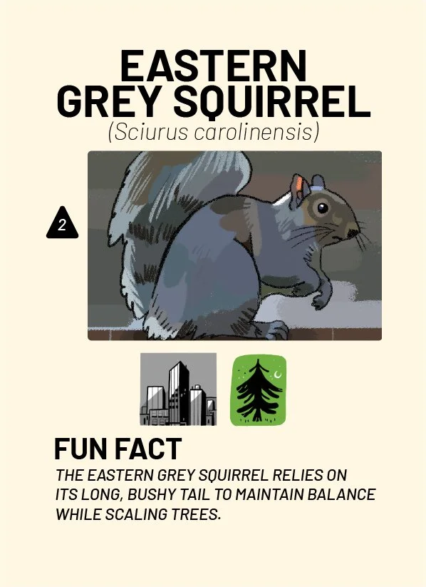CreatureCards-50.jpg