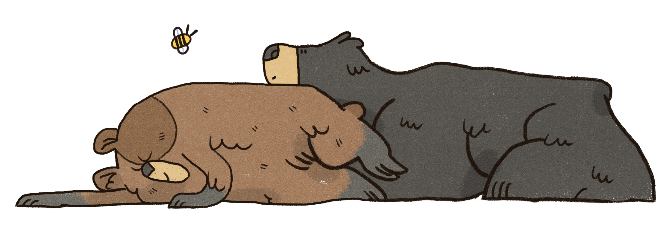 bear.png