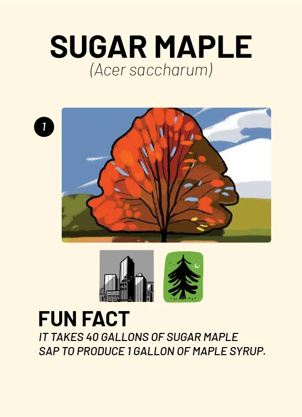 CreatureCards-37.jpg