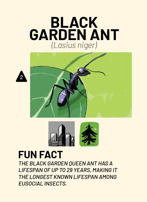 CreatureCards-36.jpg
