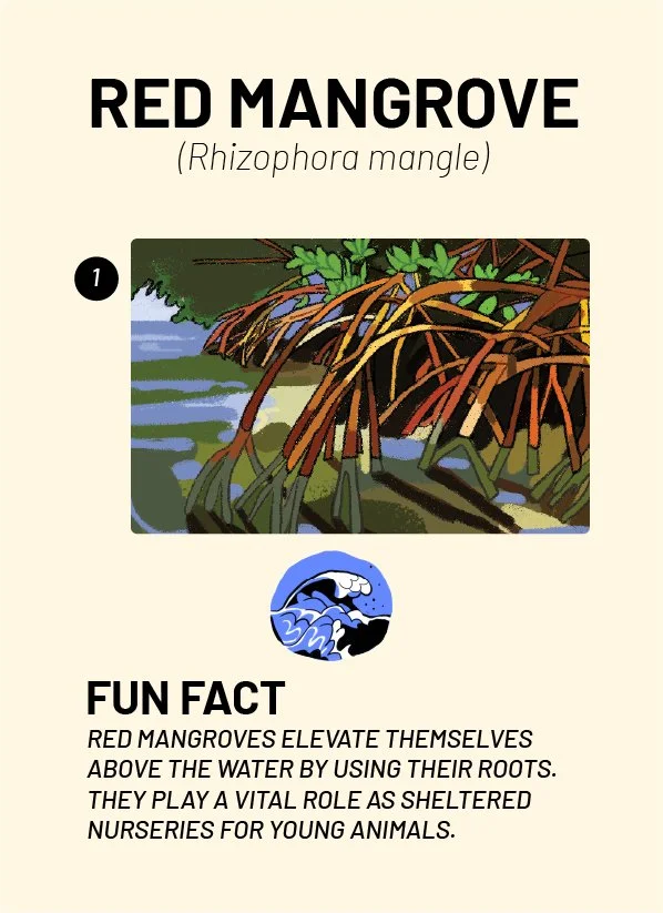CreatureCards-75.jpg