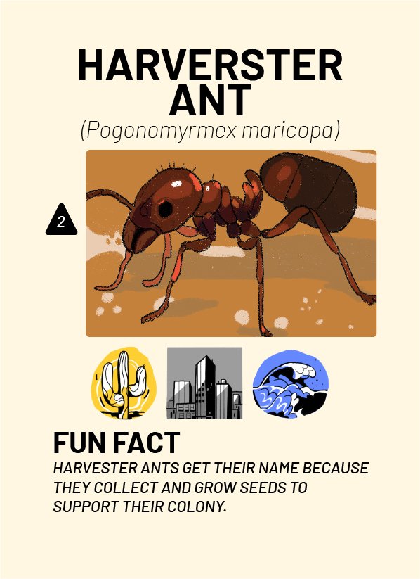CreatureCards-27.jpg