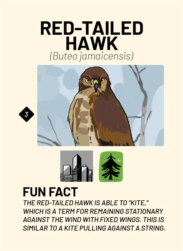 CreatureCards-44.jpg