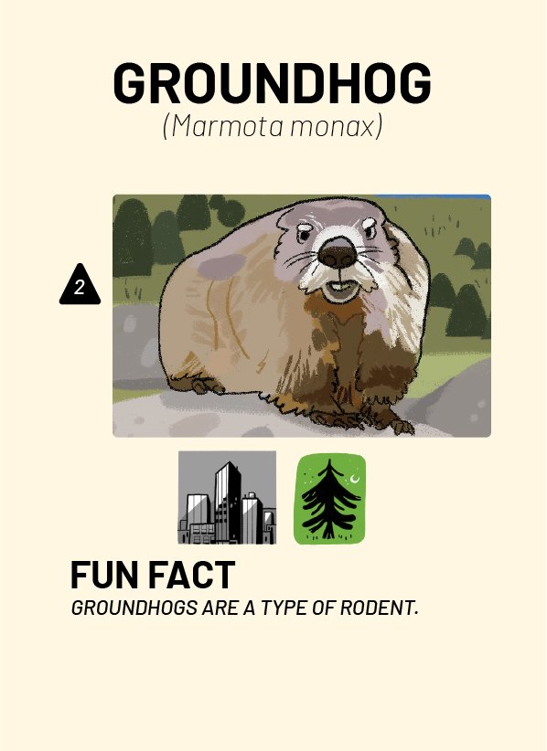 CreatureCards-32.jpg