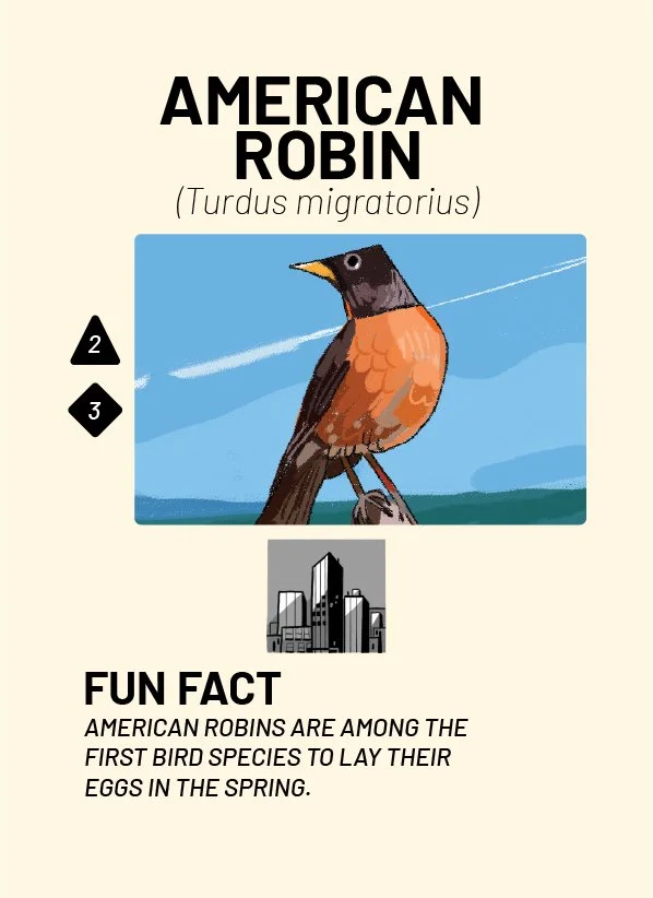 CreatureCards-05.jpg