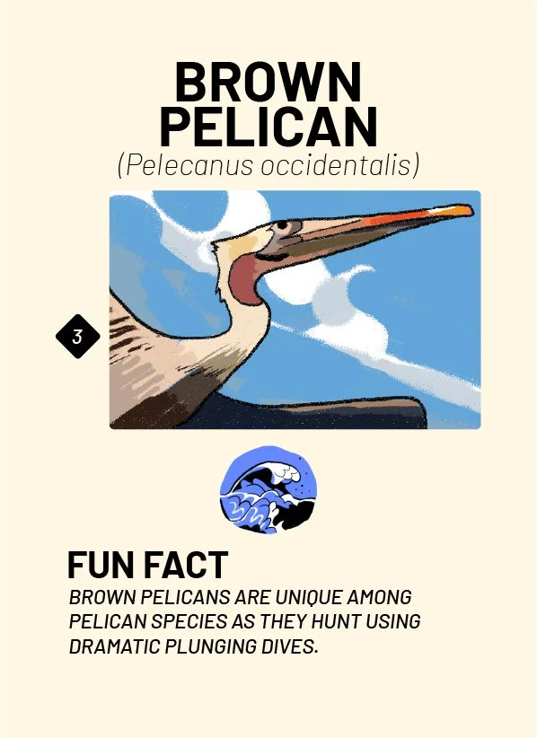 CreatureCards-62.jpg