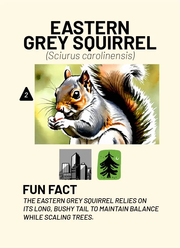 CreatureCards-50.jpg