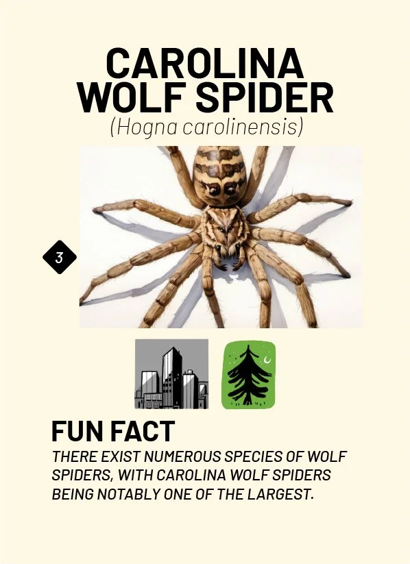 CreatureCards-54.jpg