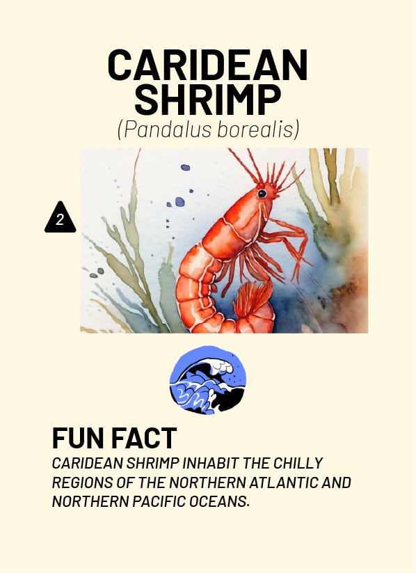 CreatureCards-65.jpg