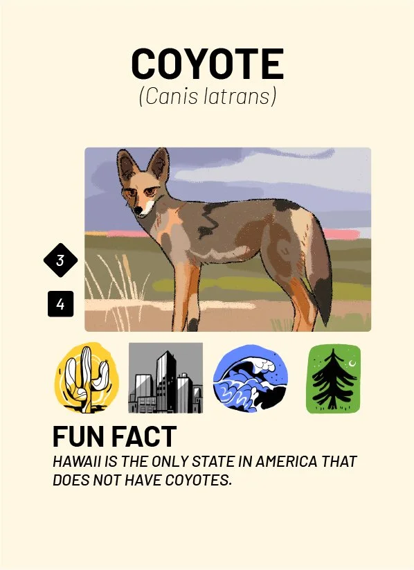 CreatureCards-18.jpg