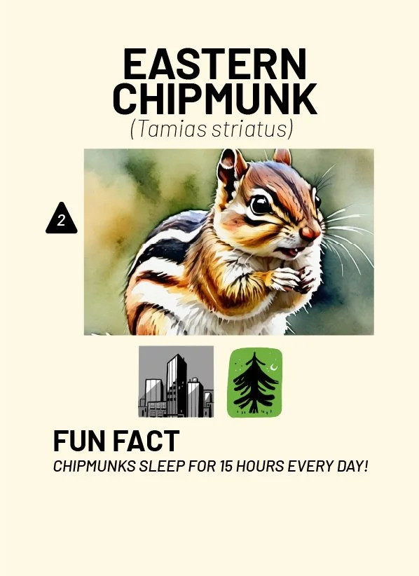 CreatureCards-33.jpg