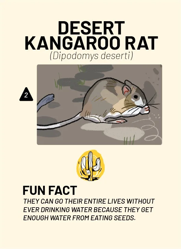 CreatureCards-11.jpg