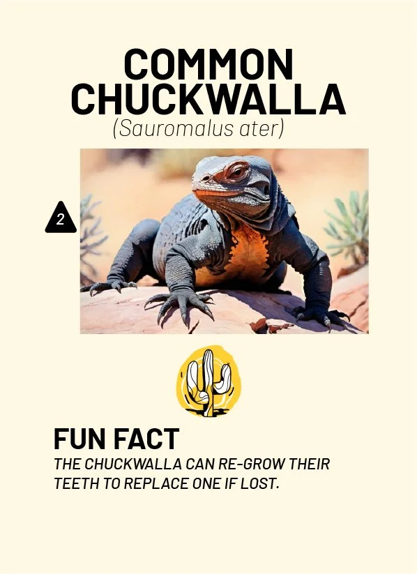 CreatureCards-14.jpg