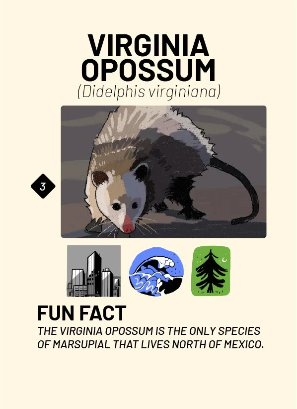 CreatureCards-29.jpg