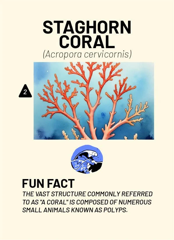 CreatureCards-69.jpg