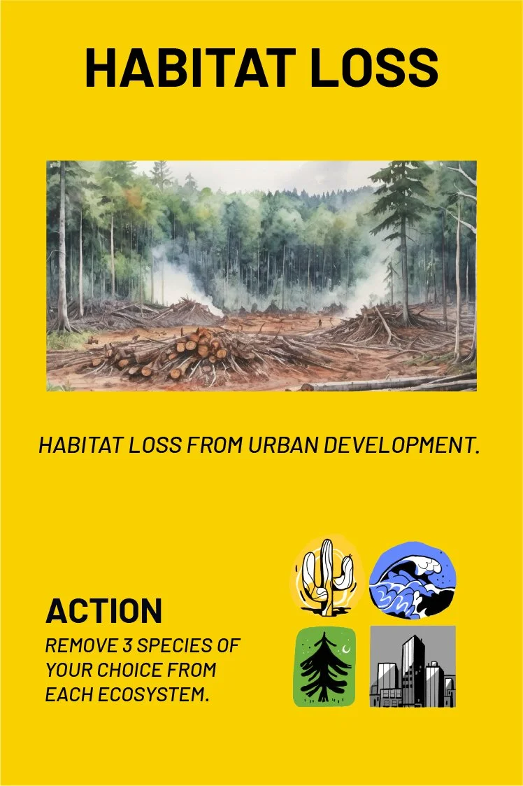 Hazard-12.jpg