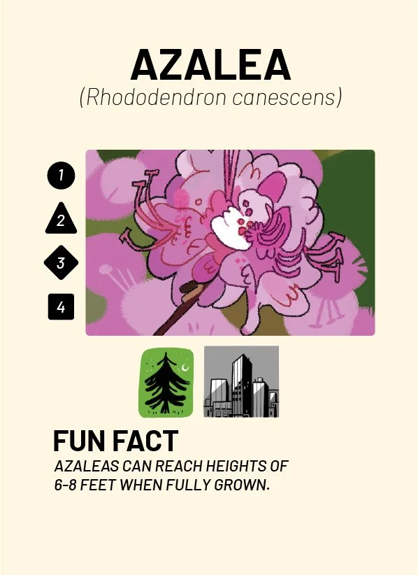CreatureCards-09.jpg