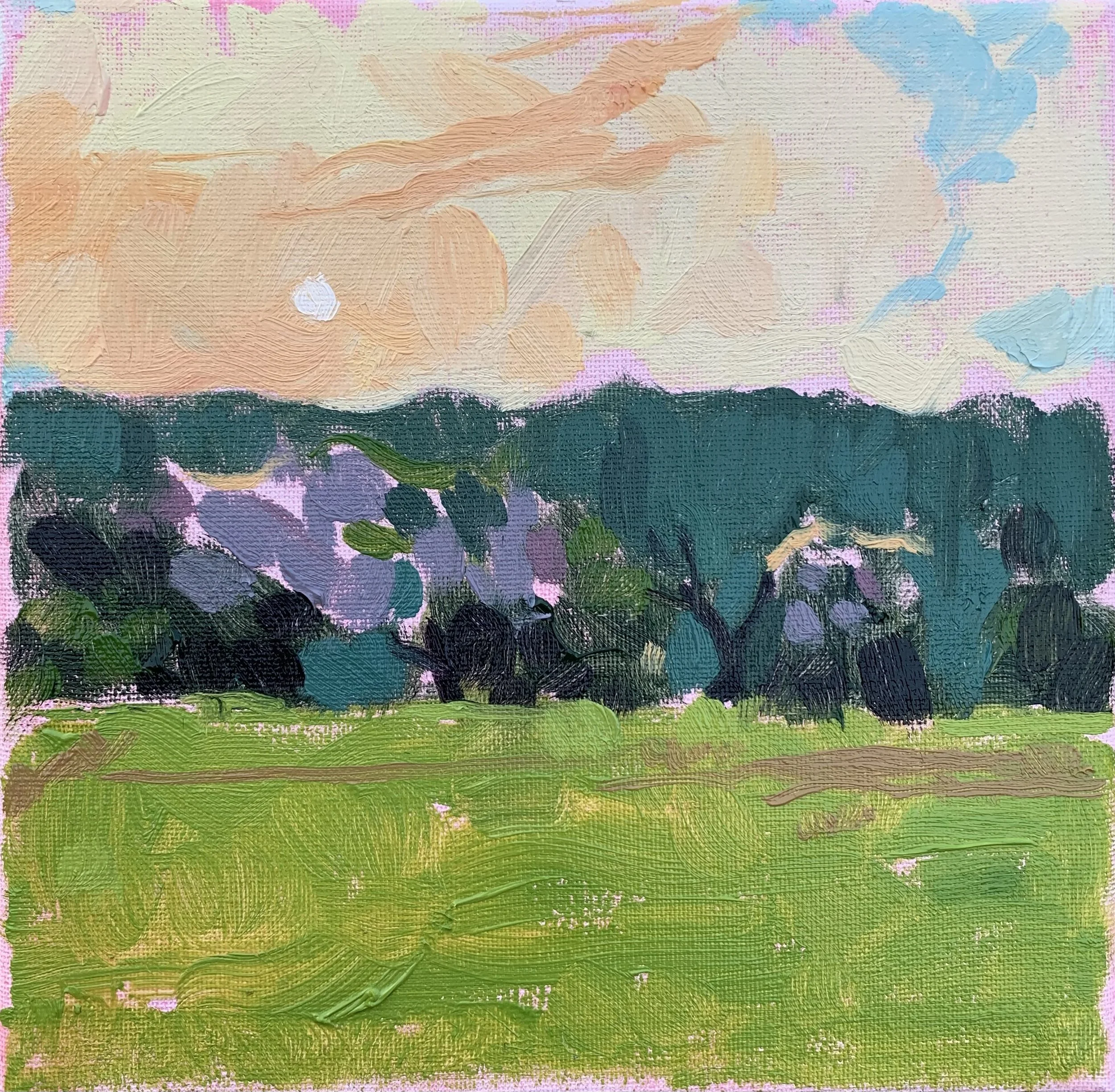 Dorthea Dix Park -
Oil on Canvas - 
2024