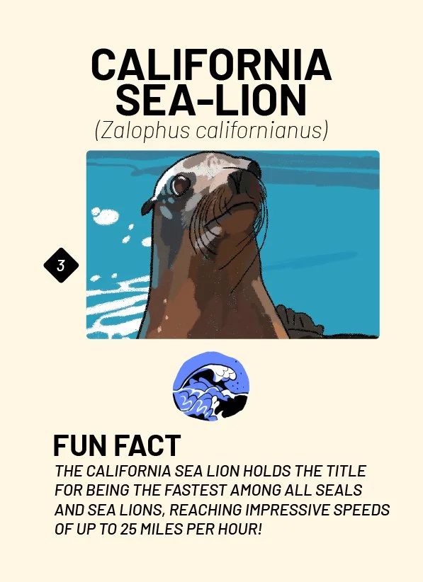 CreatureCards-61.jpg