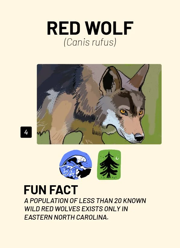 CreatureCards-58.jpg