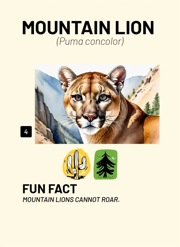 CreatureCards-17.jpg